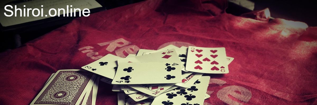 shiroi.online shiroi.online